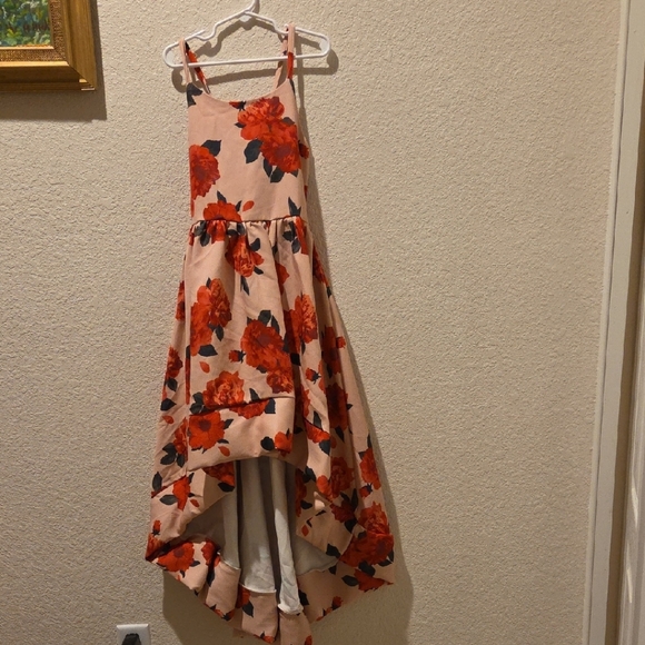 Joyfolie Other - Joyfolie Floral High-Low Dress in Pink and Red